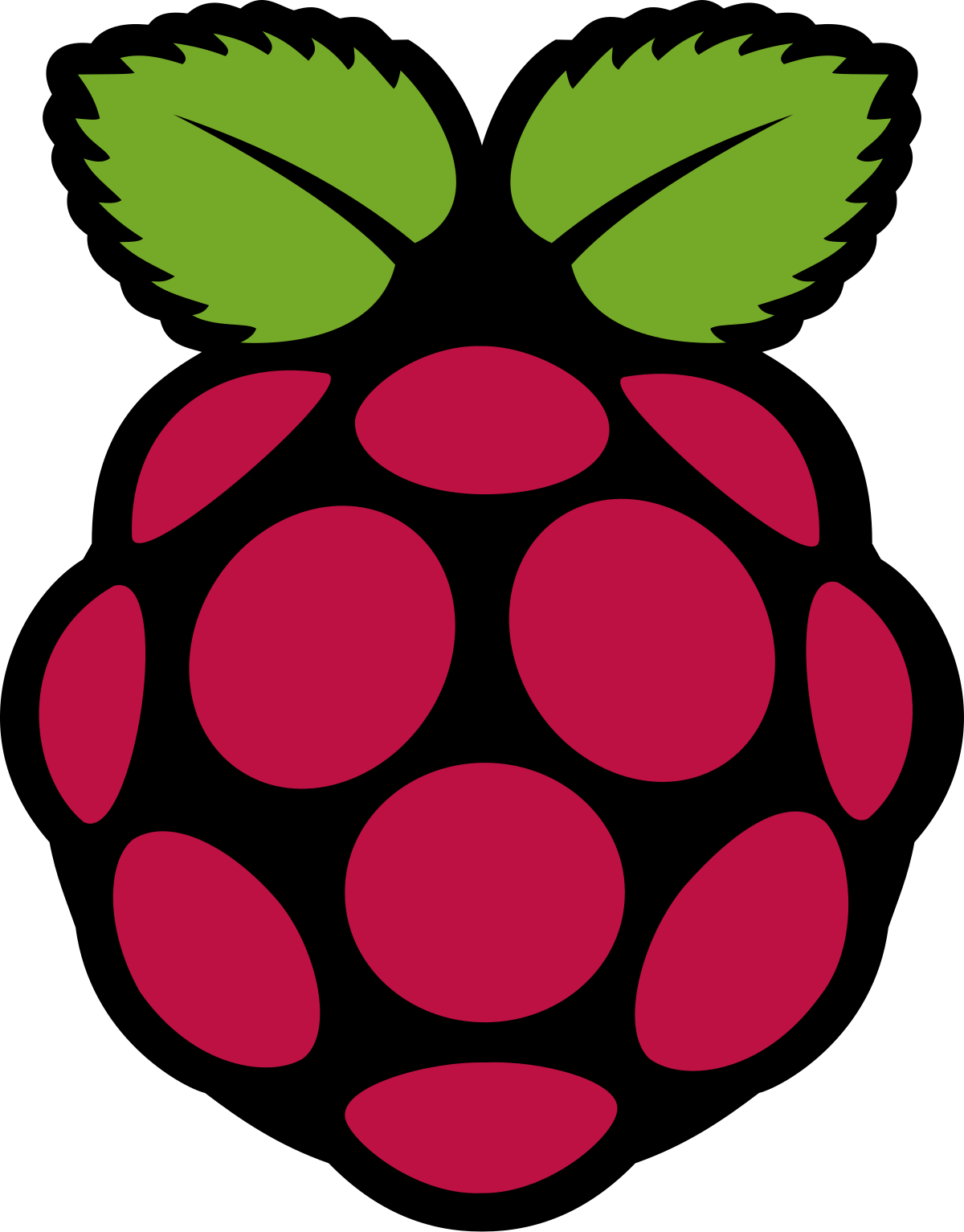 RASPBERRY PI